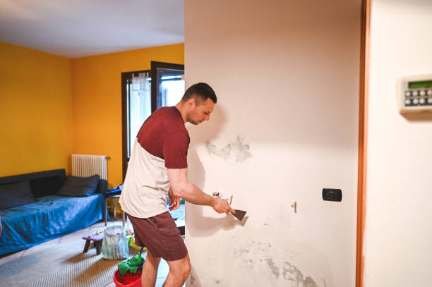 Best Professional Mold Removal  in Clayton, MO